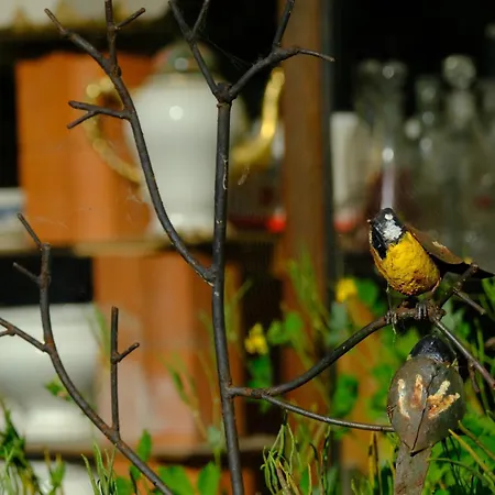 Loge & Broc Oda ve Kahvaltı 3*